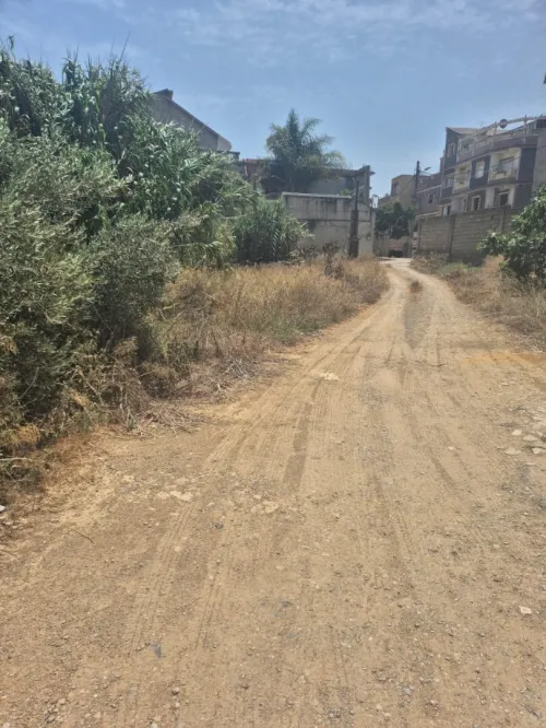 Vente Terrain Alger Zeralda