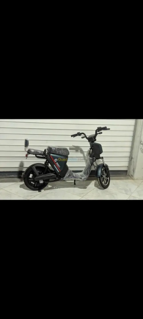 Niu Gmax 2025