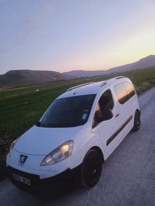 Peugeot Partner 2009 Tepee