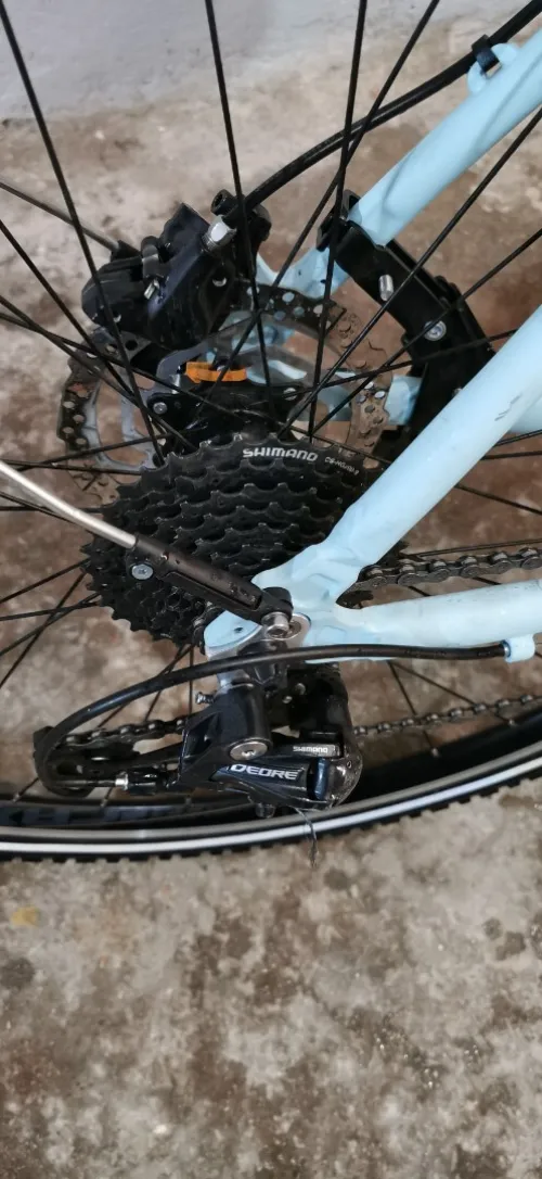 Race 3000 cross 