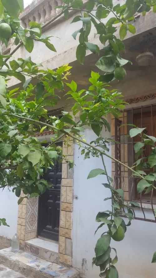 Vente Villa Boumerdès Hammedi