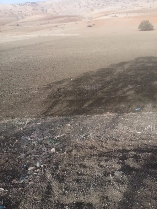 Vente Terrain Agricole Tlemcen Bensekrane