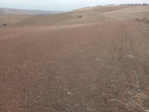 Vente Terrain Agricole Tlemcen Bensekrane