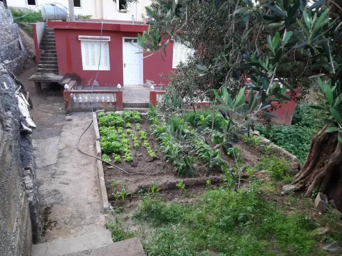 Vente Terrain Béjaïa Souk el thenine