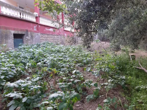 Vente Terrain Béjaïa Souk el thenine