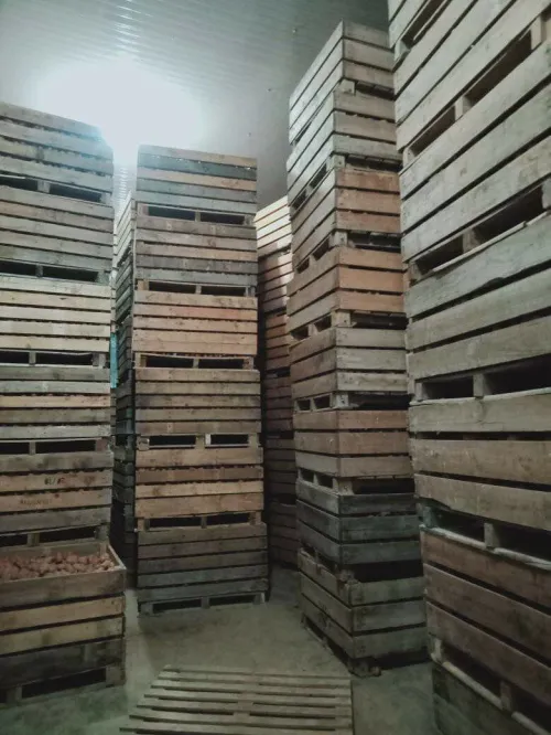 caisse en bois et palox