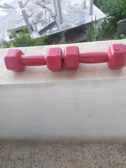 2 haltères de musculation a vendre