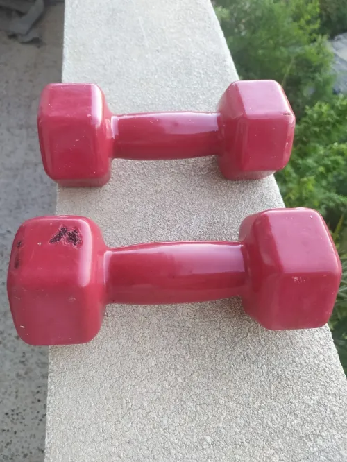 2 haltères de musculation a vendre