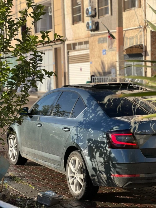 Skoda Octavia 2019 Clever
