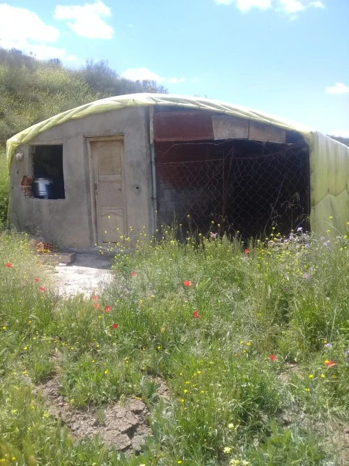 Vente Terrain Agricole Bordj Bou Arreridj Mansoura