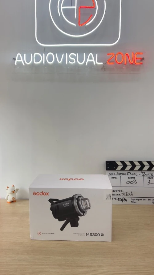 Flash MS300 V