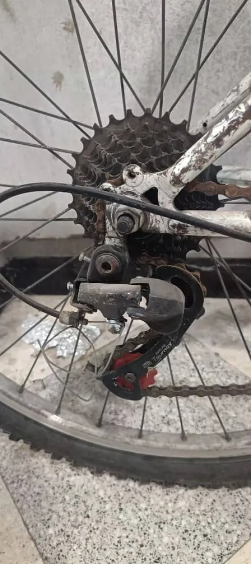 Vélo 