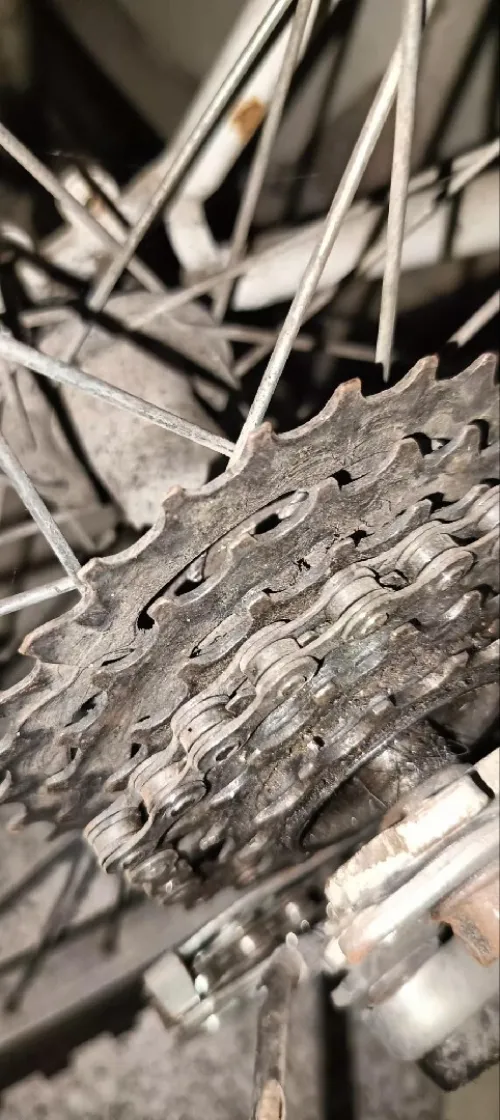 Vélo