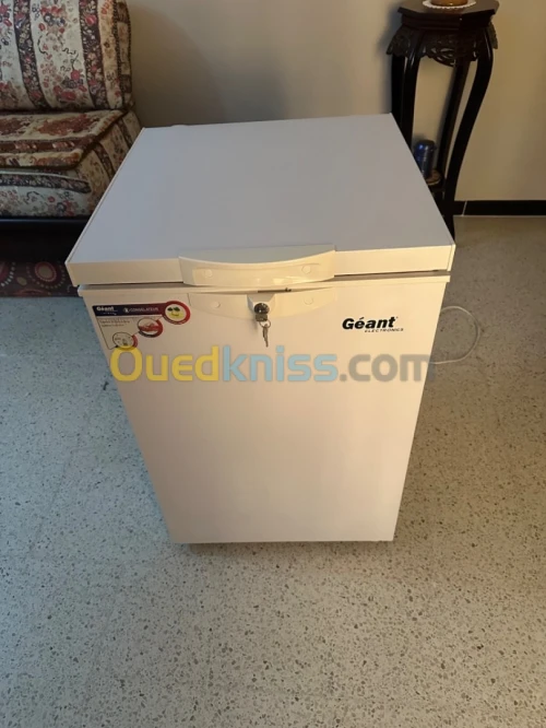 Congélateurs Géant 100L