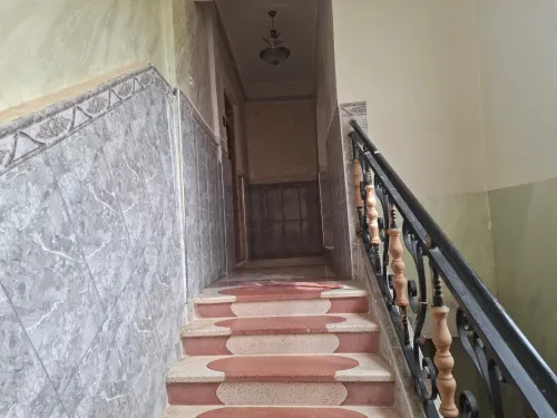 Location Local Tiaret Zmalet el emir abdelkader