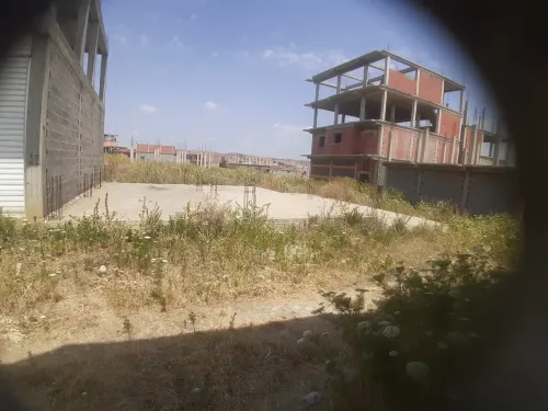 Vente Terrain Skikda Sidi mezghiche