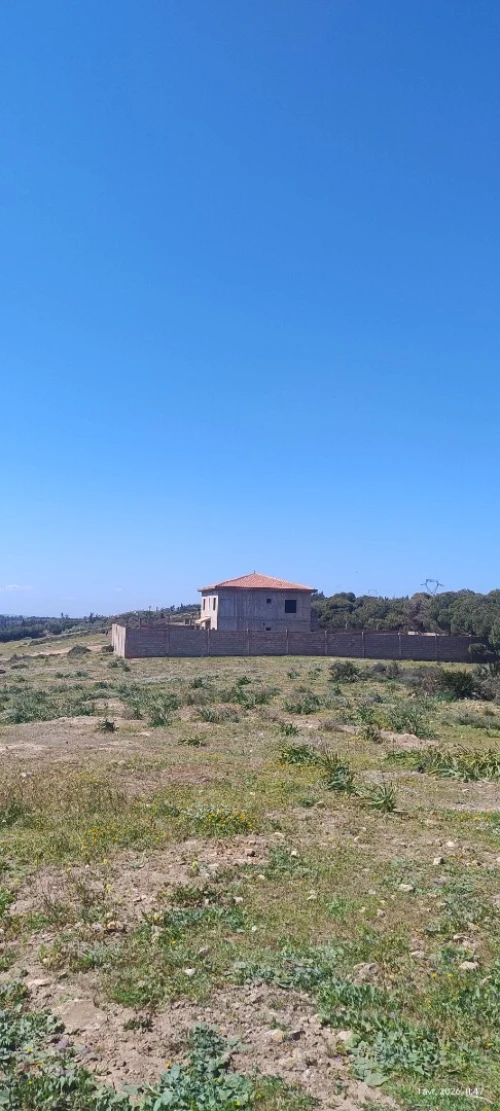 Vente Terrain Agricole Mostaganem Stidia