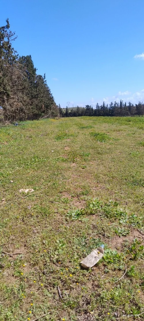 Vente Terrain Agricole Mostaganem Stidia