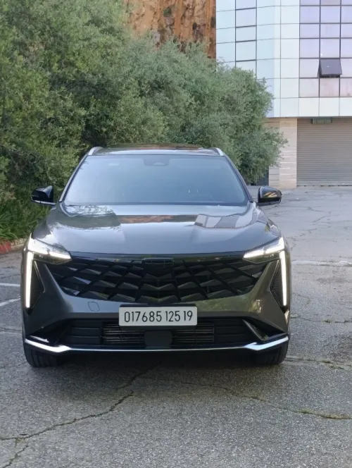 Geely city ray 2025 full option