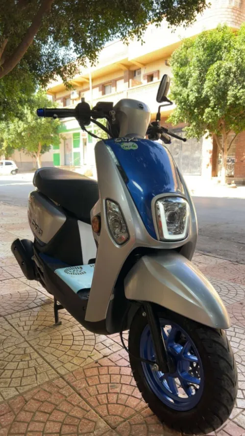 Vms Cuxi 2 2024