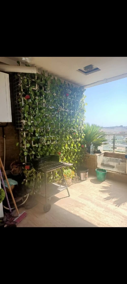 Location Appartement Duplex F7 Alger Dely brahim