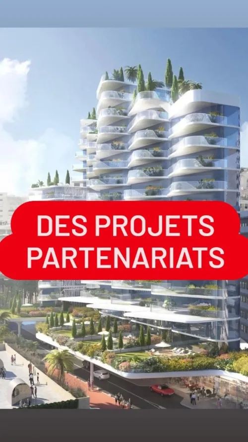 Vente Terrain Alger Said hamdine