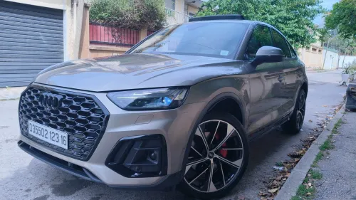 Audi Q5 2023 Slin