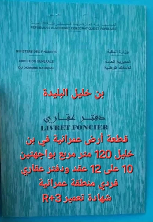 Vente Terrain Blida Ben khellil