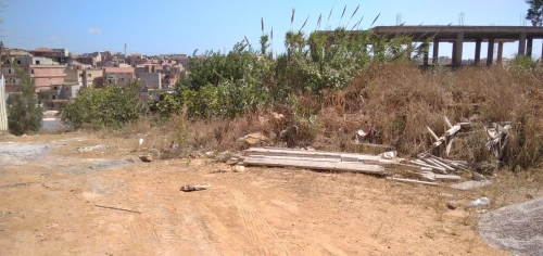 Vente Terrain Alger Draria