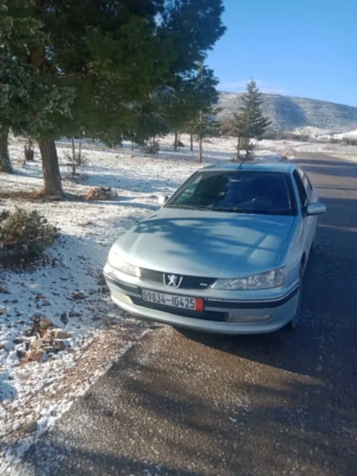 Peugeot 406 2004 406