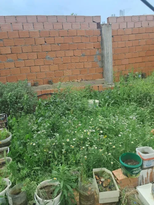 Vente Immeuble Blida Meftah