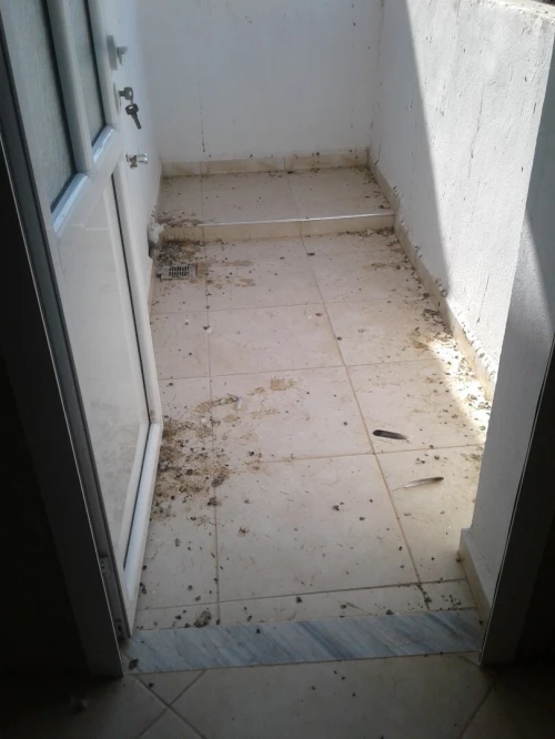 Location Appartement F3 Skikda Skikda