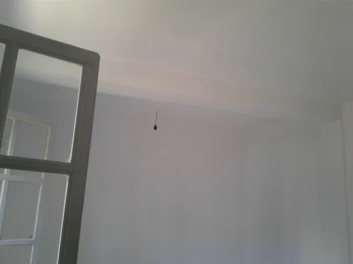 Location Appartement F3 Skikda Skikda