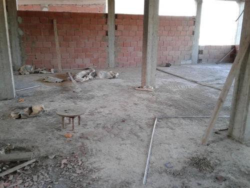 Vente Villa Skikda Hamadi krouma
