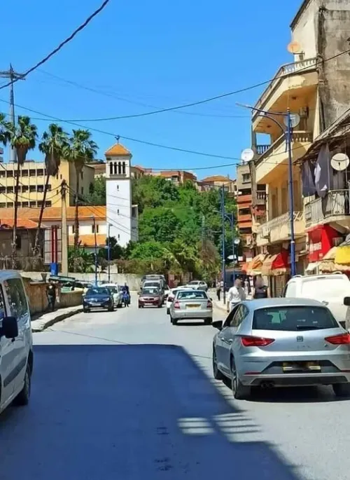 Vente Terrain Skikda Skikda