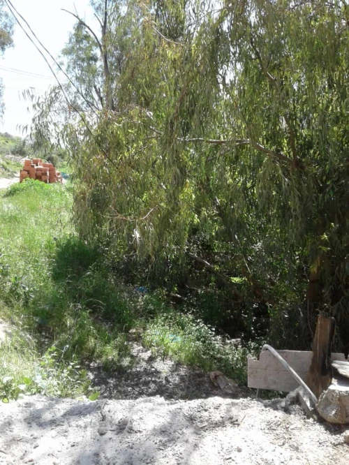 Vente Terrain Skikda Skikda