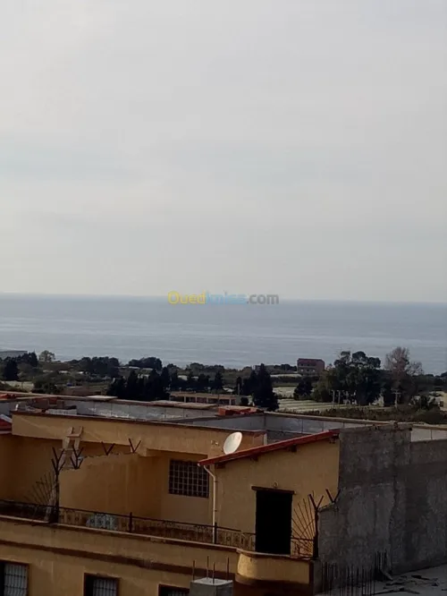Vente Immeuble Tipaza Bou ismail