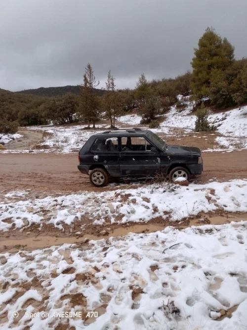 Fiat Panda 1991 Panda