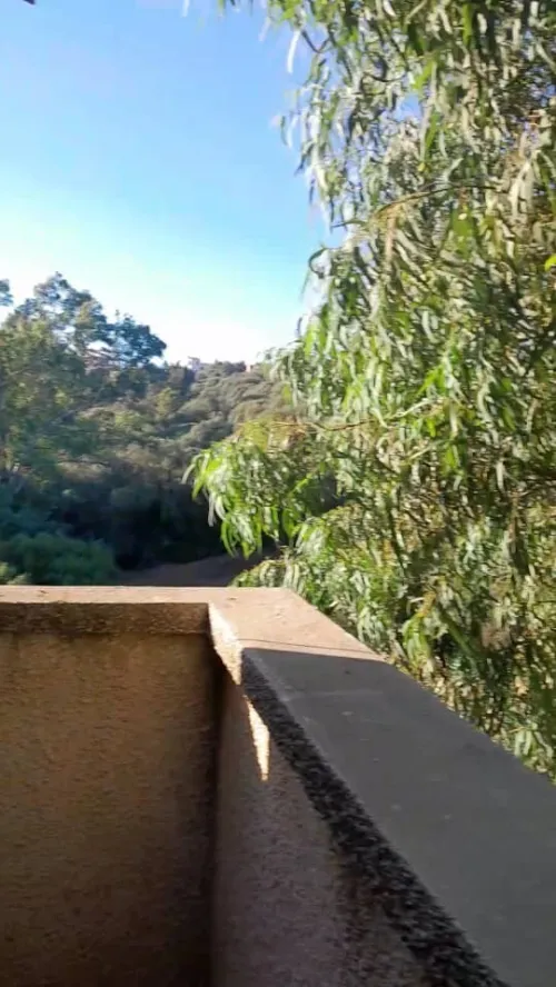 Location Appartement Niveau de villa Studio Alger Birtouta