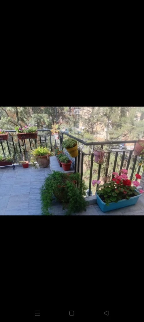 Vente Appartement Duplex F6 Alger El achour