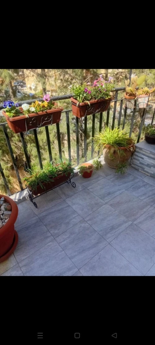 Vente Appartement Duplex F6 Alger El achour