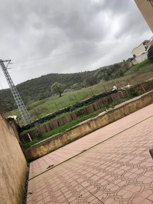 Vente Appartement F3 Tizi ouzou Tizi ouzou