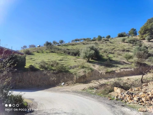 Vente Terrain Béjaïa Seddouk