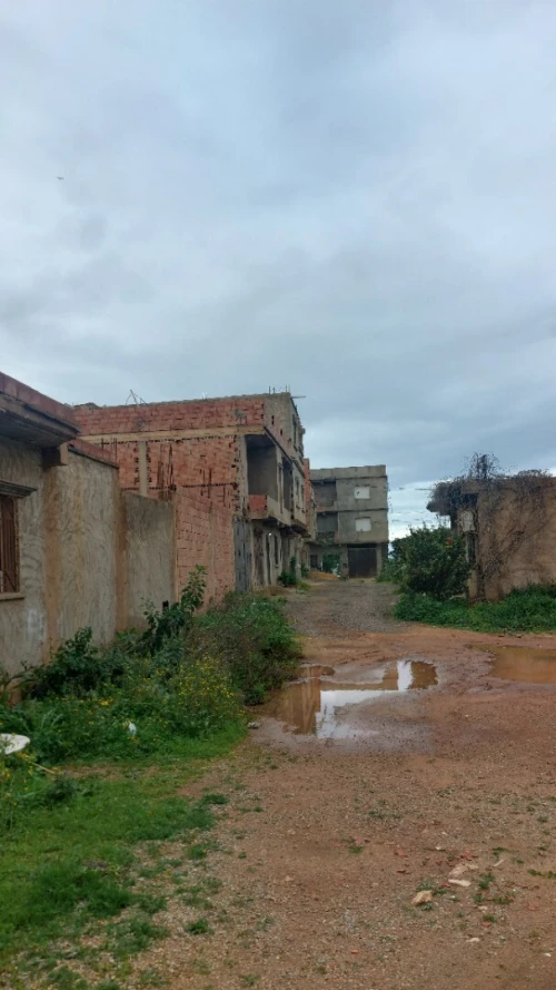 Vente Terrain Mostaganem Sayada