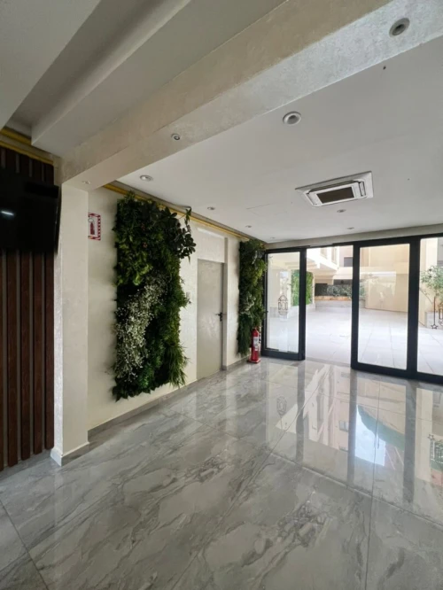 Location Appartement F3 Alger Ben aknoun