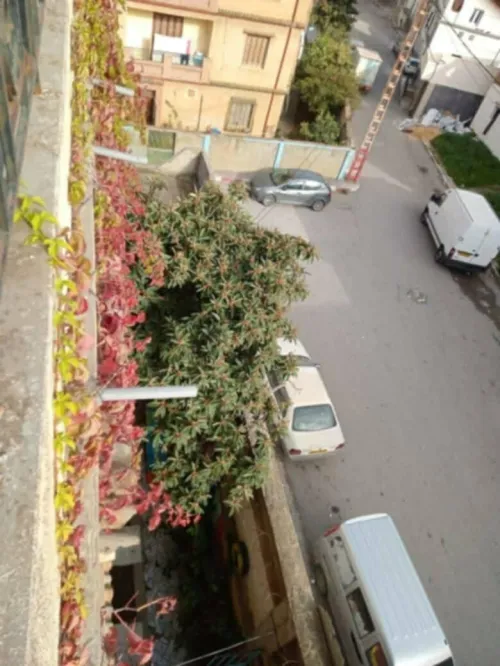 Vente Villa Béjaïa Bejaia