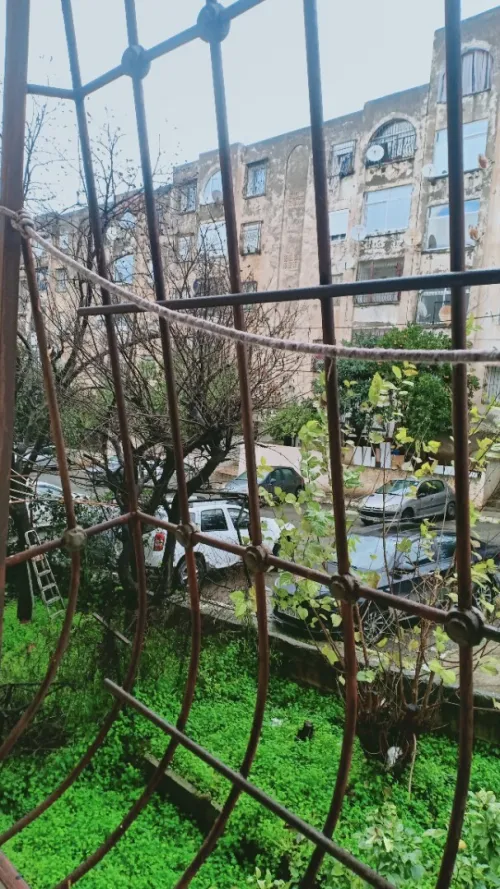 Location Appartement Alger Draria