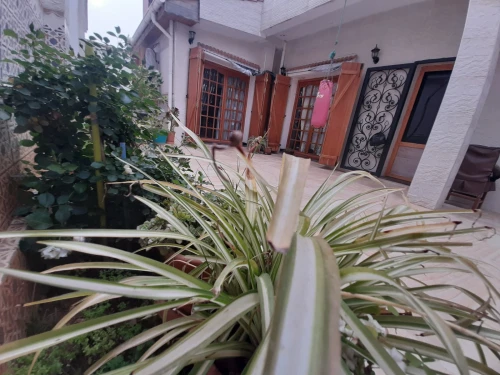 Vente Villa Tipaza Kolea
