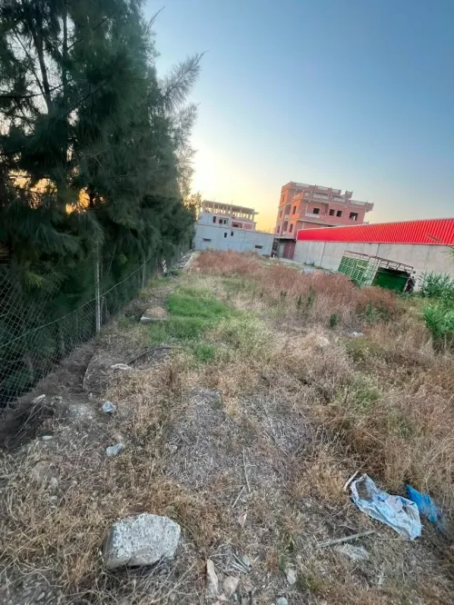 Location Terrain Alger Birtouta 16