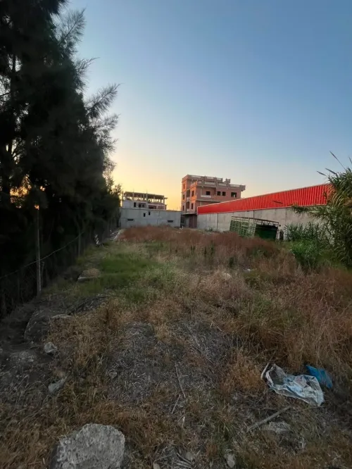 Location Terrain Alger Birtouta 8